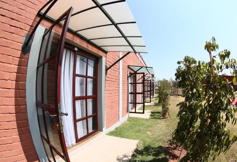 اتاق استاندارد, Le Chat O Park Hotel Ivato Airport Navette Gratuite H24