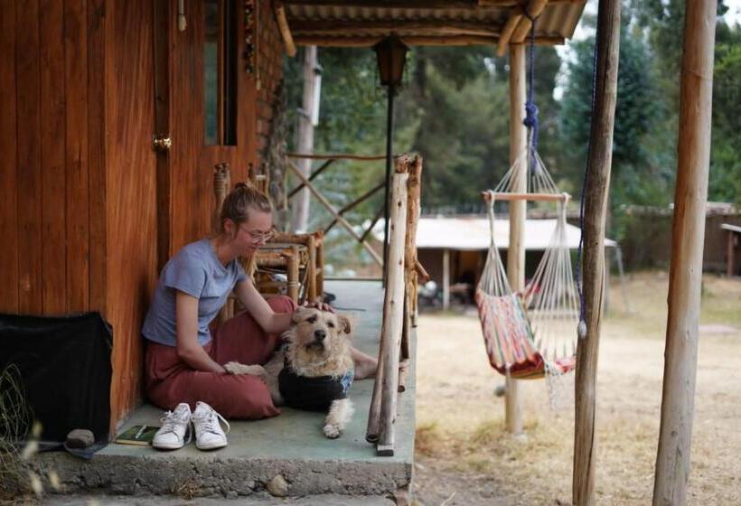 اتاق استاندارد با چشم‌انداز کوهستان, Tony S House Eco Hostel