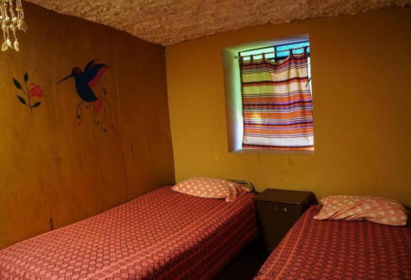 اتاق اکونومی, Tony S House Eco Hostel
