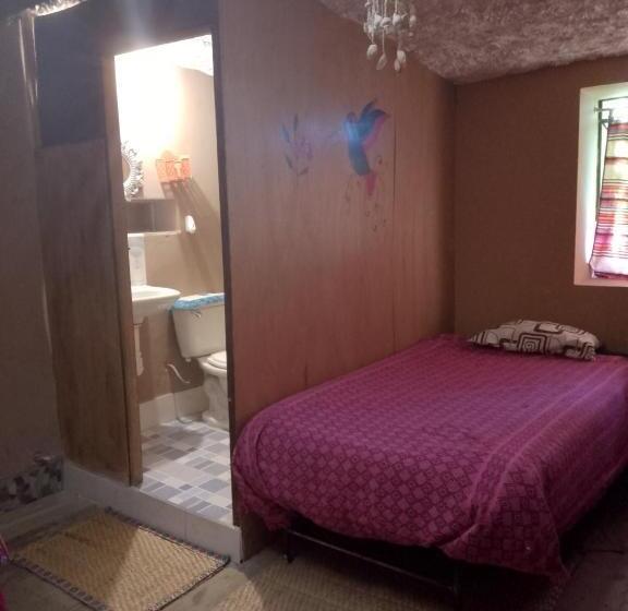 اتاق اکونومی, Tony S House Eco Hostel