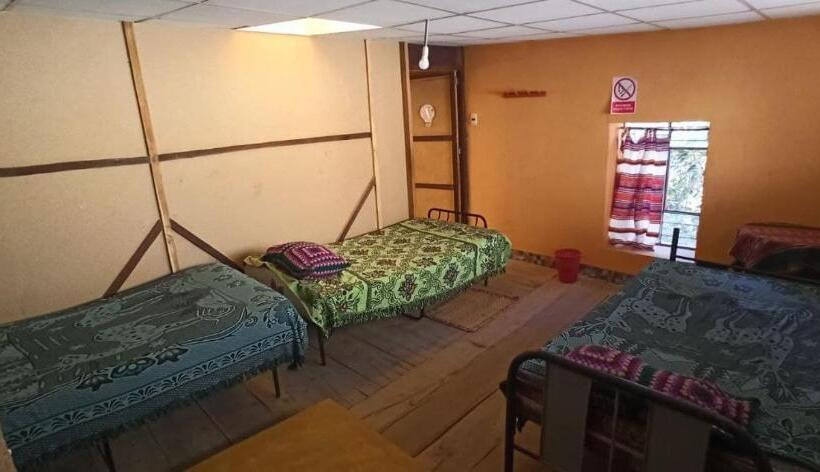 تختخواب در اتاق مشترک, Tony S House Eco Hostel