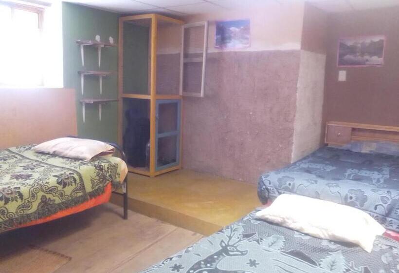 تختخواب در اتاق مشترک, Tony S House Eco Hostel