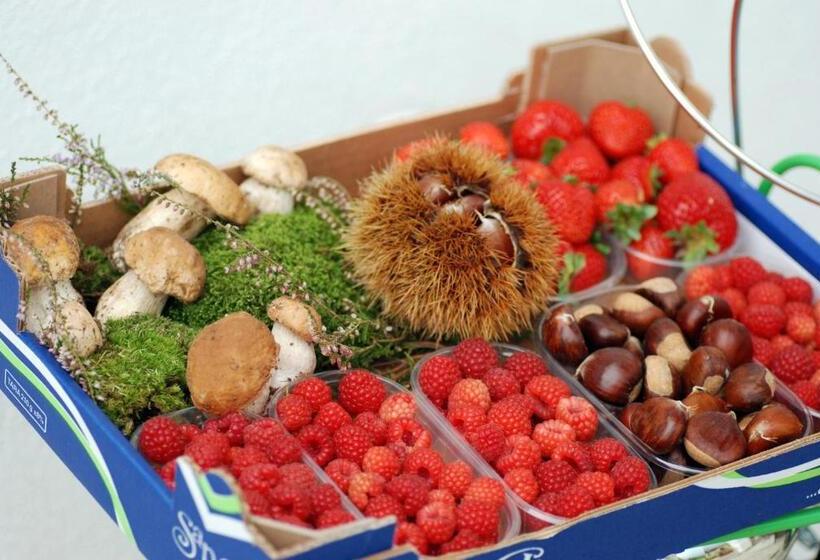 اتاق استاندارد چهار تخته, Bed And Breakfast Ca D'pandin