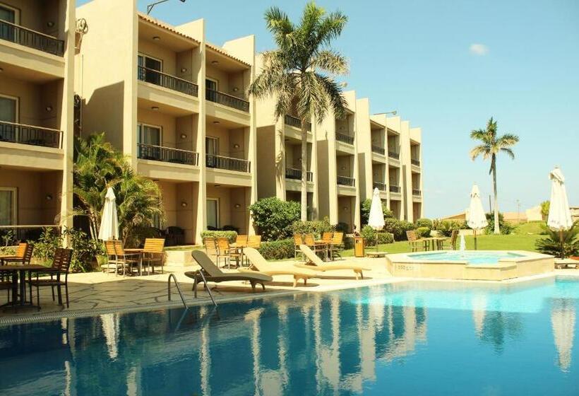 سوییت سوپریور, Panacea Suites