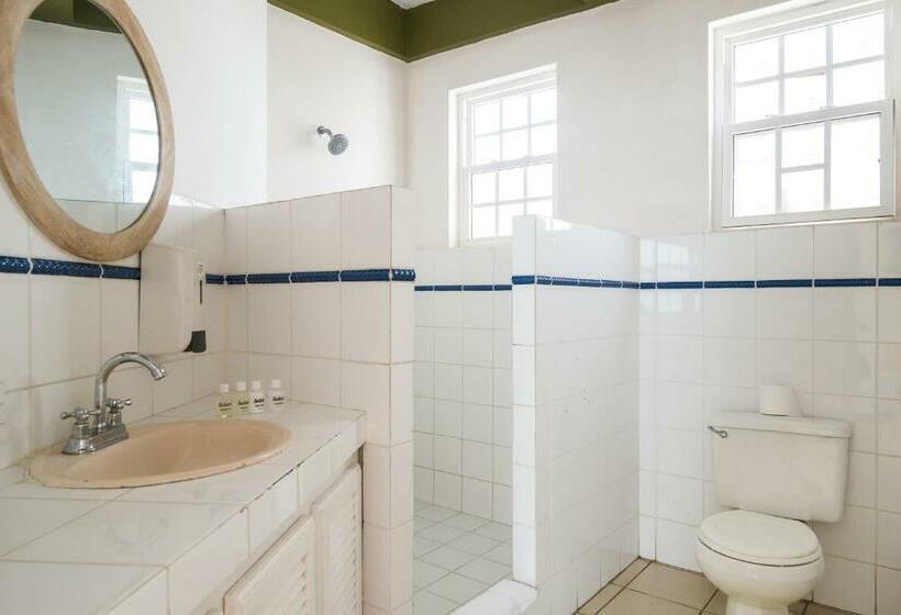 اتاق استاندارد, Selina Manuel Antonio   Hostel
