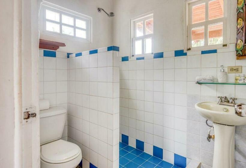 سوییت جونیور, Selina Manuel Antonio   Hostel