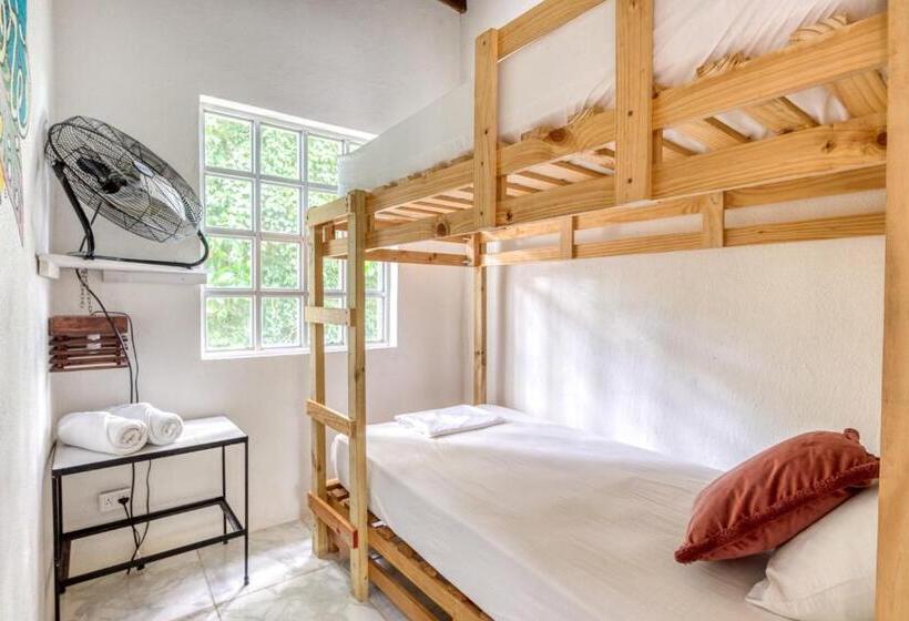 اتاق پایه با سرویس بهداشتی مشترک, Selina Manuel Antonio   Hostel