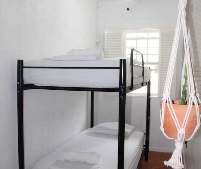 اتاق پایه با سرویس بهداشتی مشترک, Selina Manuel Antonio   Hostel