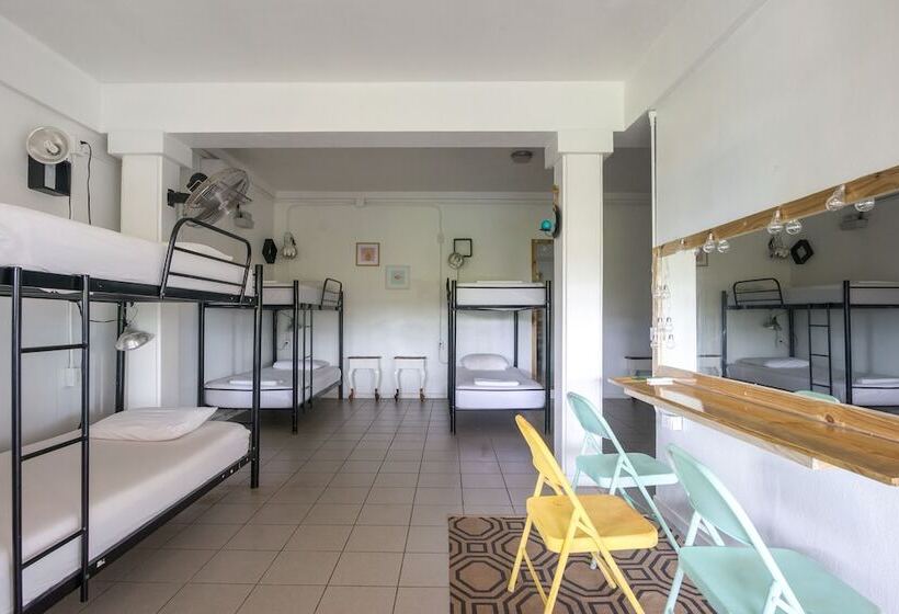 اتاق استاندارد, Selina Manuel Antonio   Hostel