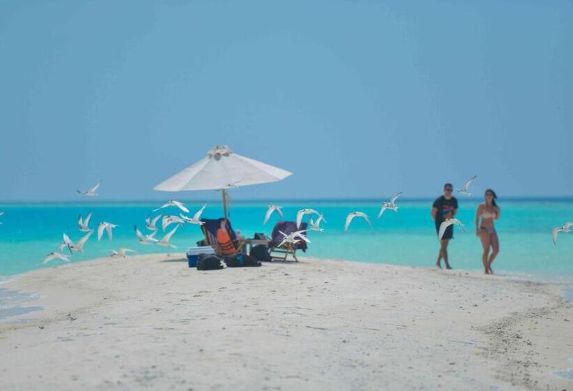 اتاق استاندارد, Canopus Retreat Thulusdhoo