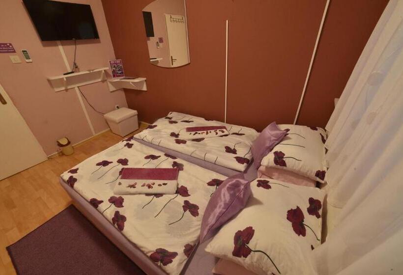 اتاق لوکس, Hostel Mirror