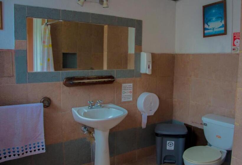 اتاق استاندارد چهار تخته, Blue House Youth Hostel
