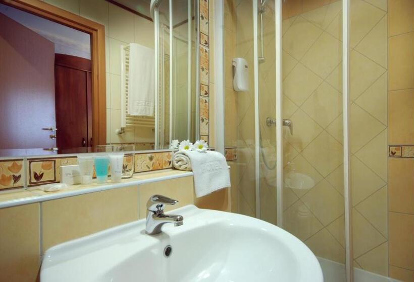 اتاق استاندارد یک نفره, Basztowy