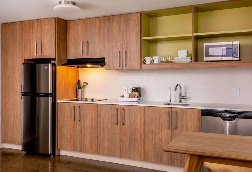 سوئیت اجرایی با تخت کینگ, Element Moline