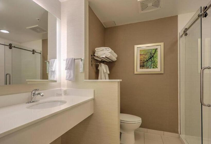 اتاق استاندارد با تخت بزرگ, Fairfield Inn & Suites By Marriott Greenville