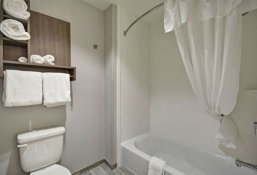 سوییت, Homewood Suites By Hilton Rocky Mount