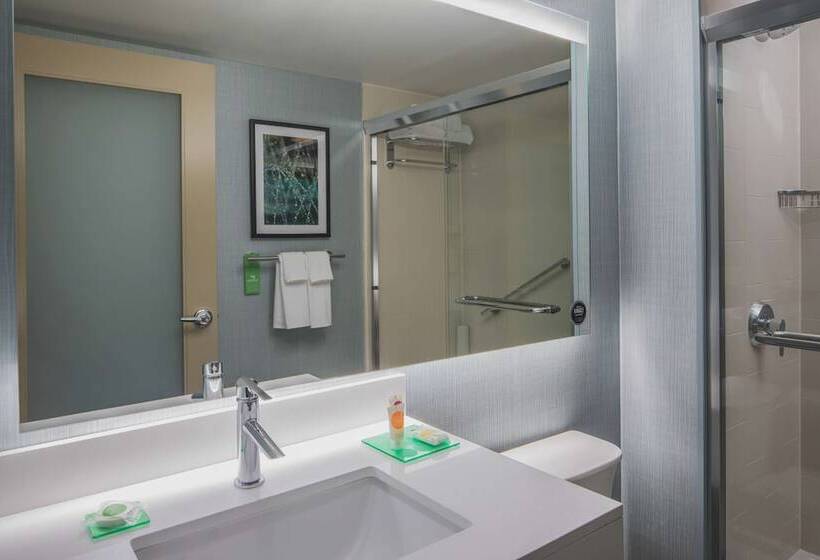 سوئیت با تخت بزرگ, Hyatt Place Long Island City/new York City
