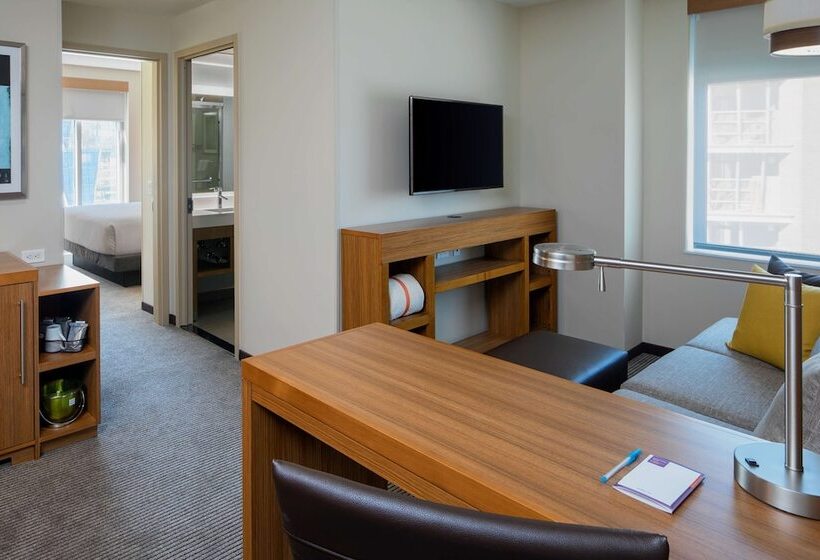 سوئیت با تخت بزرگ, Hyatt Place Long Island City/new York City