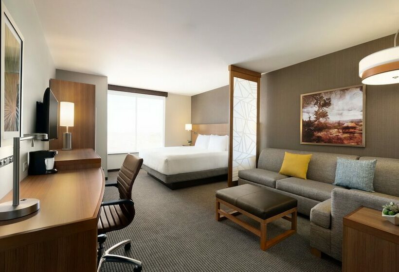 اتاق استاندارد با تخت دوبل, Hyatt Place Page/lake Powell