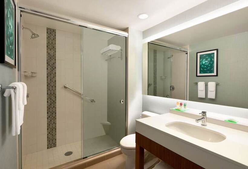 اتاق استاندارد با تخت دوبل و چشم‌انداز, Hyatt Place Page/lake Powell