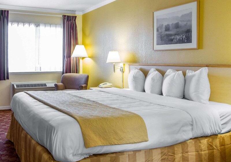 اتاق استاندارد با تخت دو نفره بزرگ, Hyatt Place Page/lake Powell