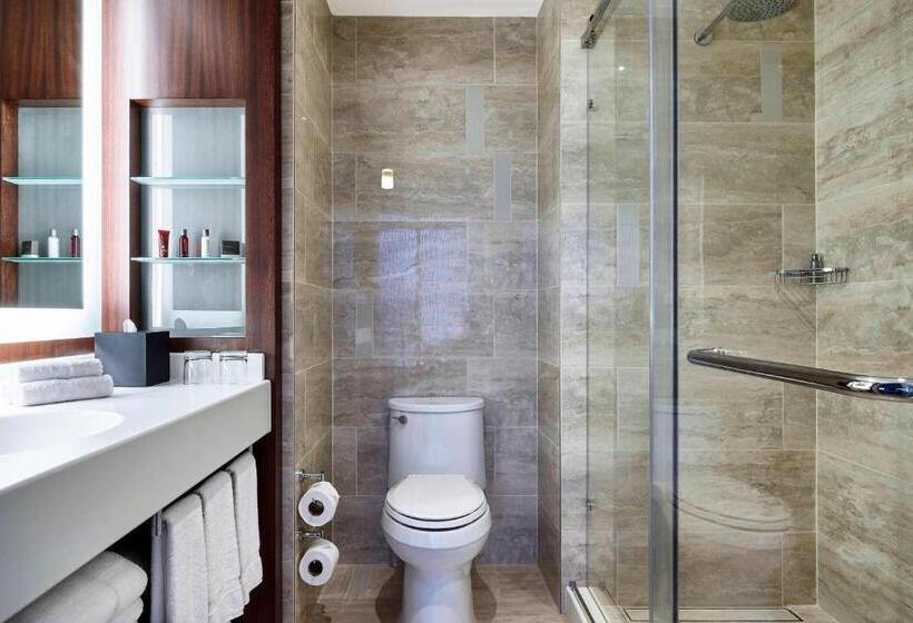 اتاق استاندارد با تخت بزرگ, Marriott Santa Cruz De La Sierra