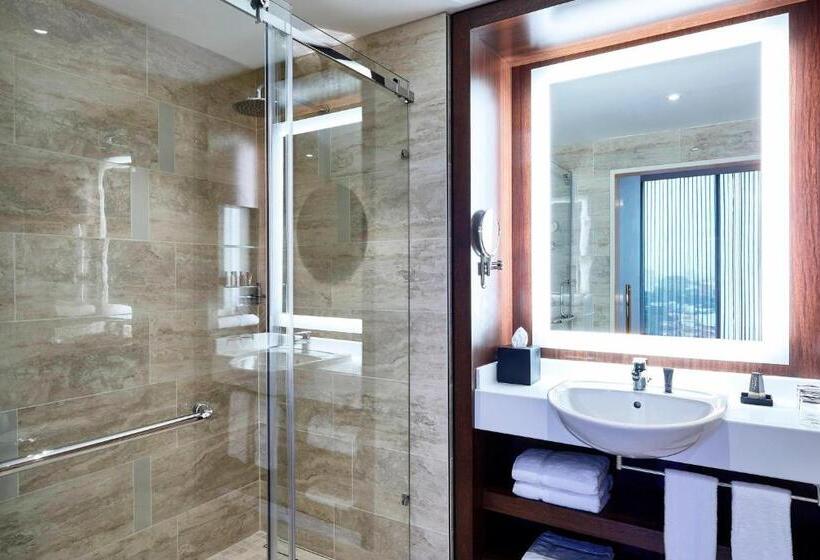 اتاق استاندارد, Marriott Santa Cruz De La Sierra
