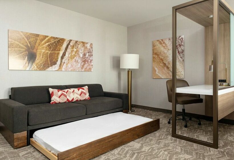 سوئیت با چشم‌انداز رودخانه, Springhill Suites By Marriott Great Falls