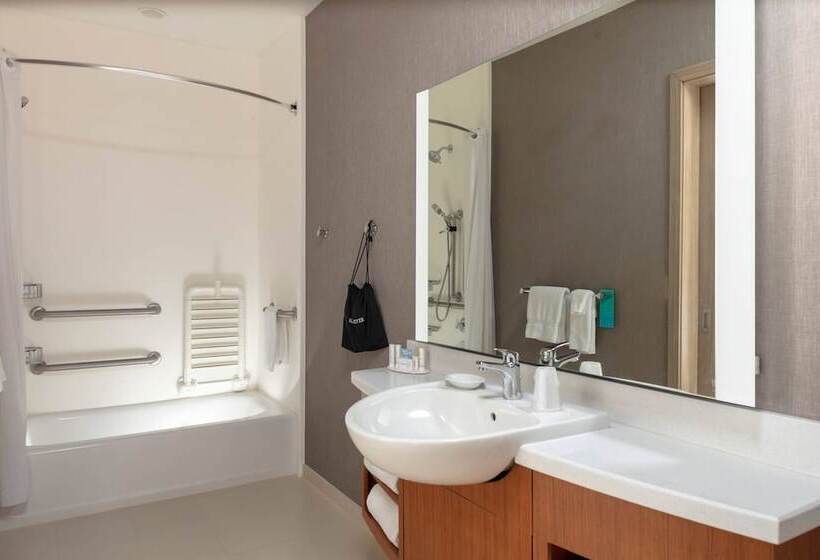 سوئیت با چشم‌انداز رودخانه, Springhill Suites By Marriott Great Falls