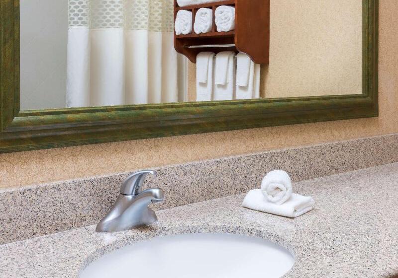 سوئیت با تخت بزرگ, Springhill Suites By Marriott Great Falls