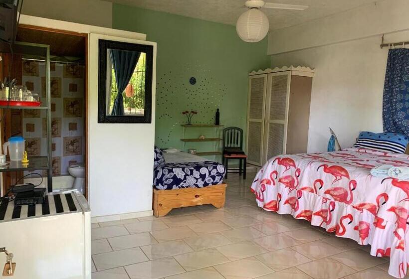 اتاق اکونومی, Villa Mar Sosua