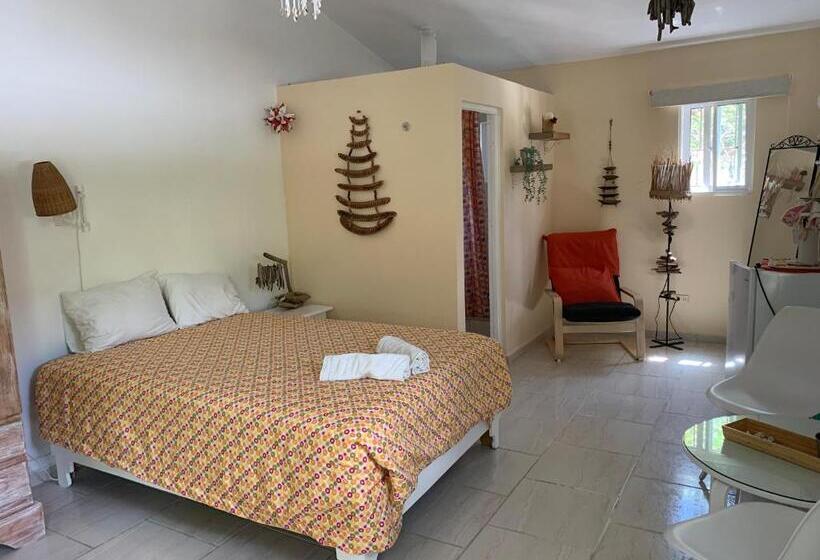 اتاق استاندارد, Villa Mar Sosua