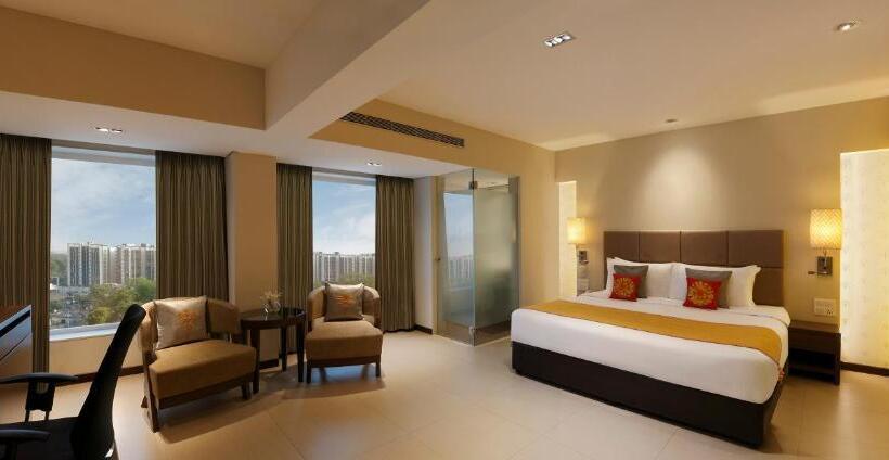 اتاق اجرایی, Grand Mercure Vadodara Surya Palace