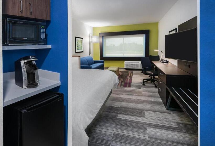 اتاق استاندارد با تخت بزرگ, Holiday Inn Express & Suites Bryan   College Station, An Ihg