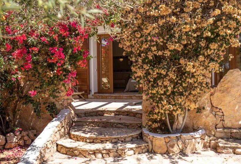 اتاق سوپریور, Cupola Bianca Resort