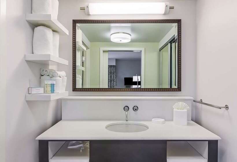 استودیو استاندارد با تخت کینگ, Hampton Inn & Suites Boston/waltham