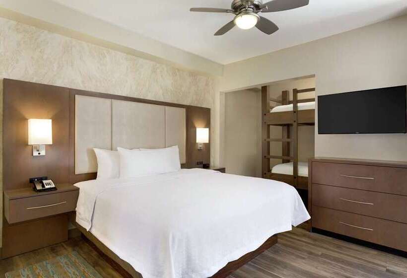 استودیو استاندارد با تخت کینگ, Hampton Inn & Suites Boston/waltham