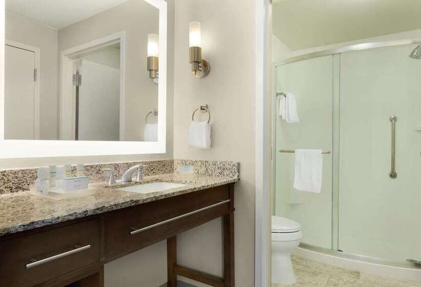 استودیو استاندارد با تخت کینگ, Hampton Inn & Suites Boston/waltham