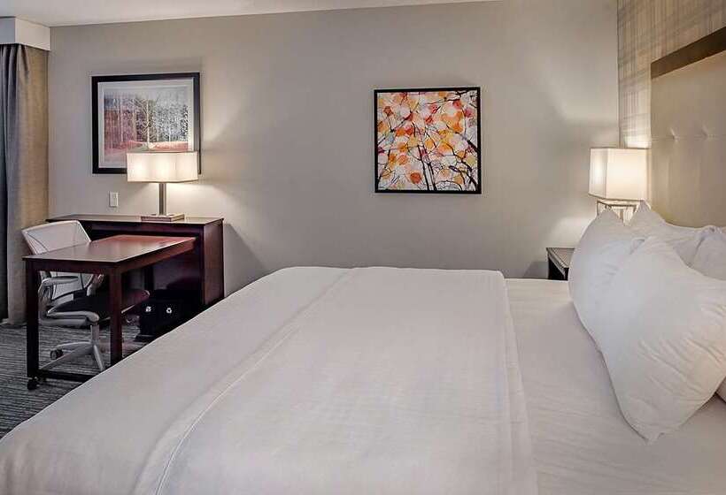 استودیو استاندارد با تخت کینگ, Hampton Inn & Suites Boston/waltham