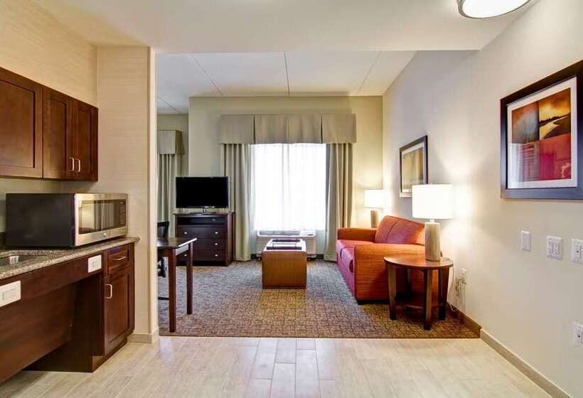 اتاق استاندارد, Hampton Inn & Suites Boston/waltham