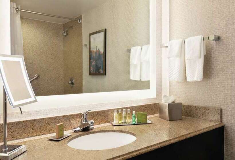 اتاق استاندارد برای معلولان, Hampton Inn & Suites Boston/waltham