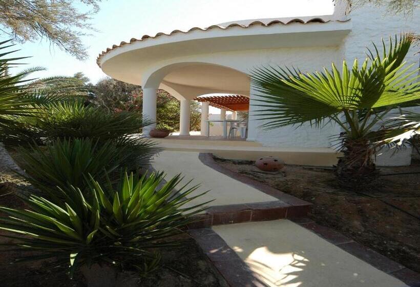 اتاق استاندارد, Oasi Di Casablanca