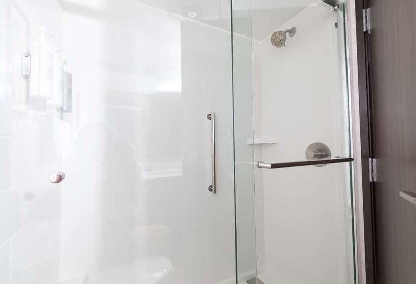 اتاق استاندارد با تخت بزرگ, Tru By Hilton Cedar Rapids Westdale