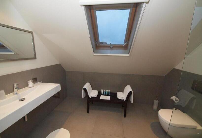 اتاق استاندارد با چشم‌انداز دریاچه, Villa Envie