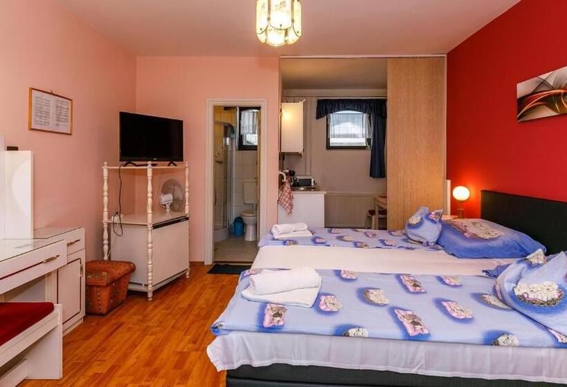 استودیو استاندارد با تراس, Steinhaus Bed & Breakfast