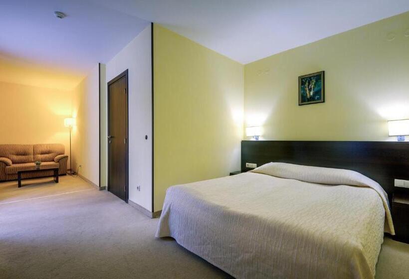 اتاق استاندارد, Bellevue Ski & Relax   Half Board