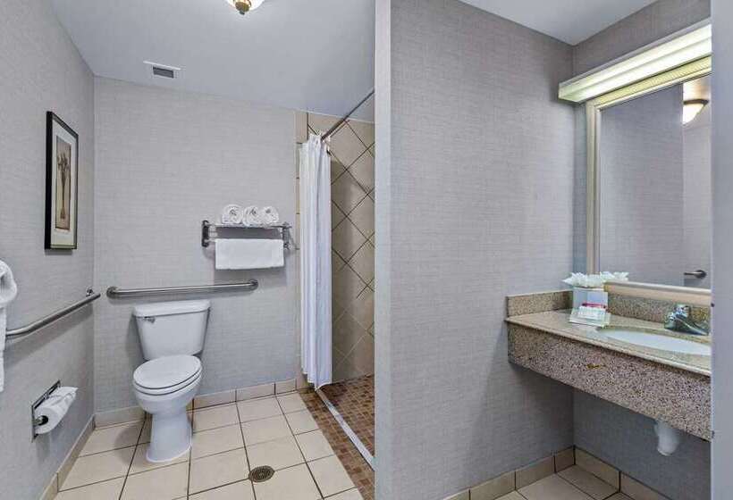 اتاق استاندارد, Dello Ft Lauderdale Airport, Tapestry Collection By Hilton