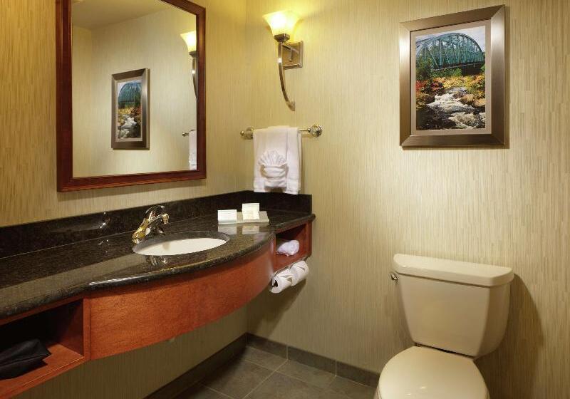 اتاق لوکس, Dello Ft Lauderdale Airport, Tapestry Collection By Hilton