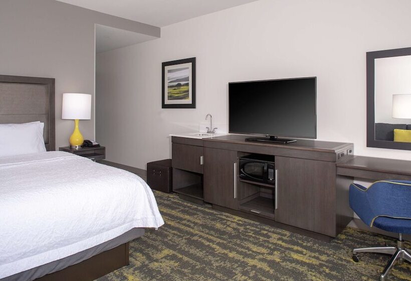 اتاق استاندارد با تخت دوبل برای معلولان, Hampton Inn & Suites Irvineorange County Airport