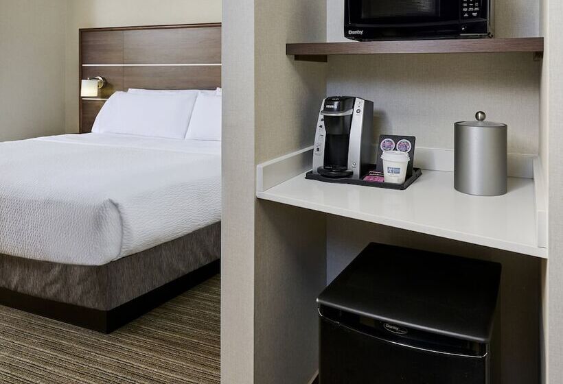 سوییت, Holiday Inn Express & Suites   Brantford, An Ihg
